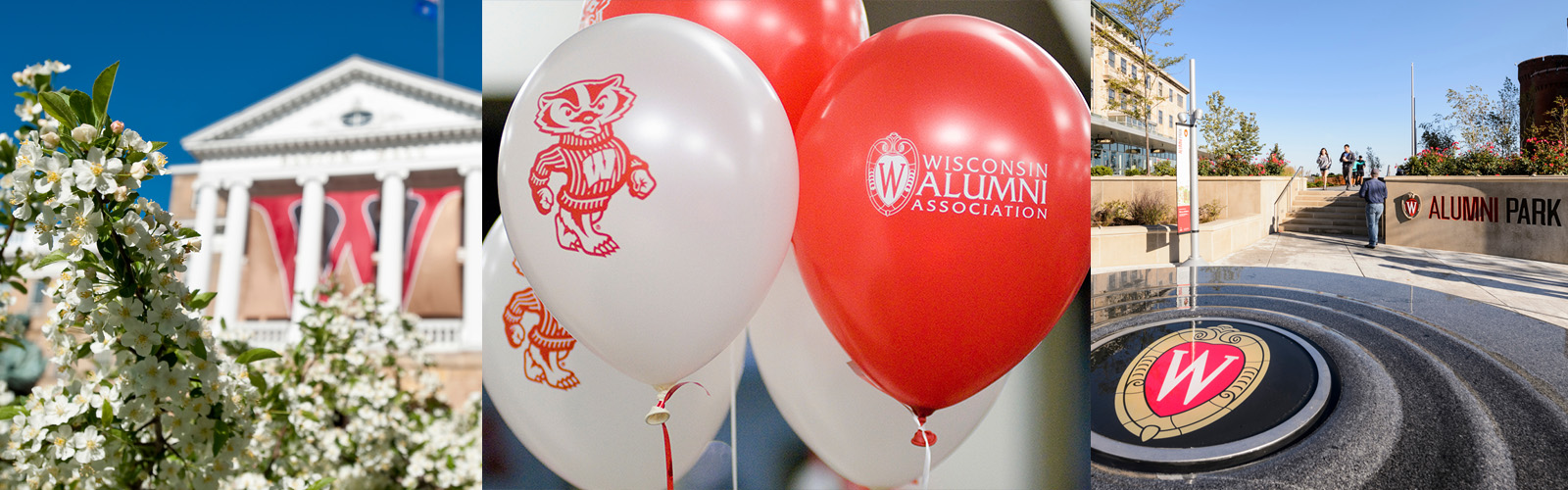 Hero image with three images, Bascom Hall, balloons with UW Madison Badger logo on it, and the entrance to Alumni Park