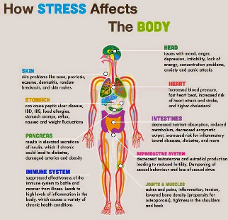 Diagram of human body