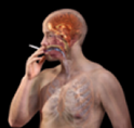illustration of a person smoking