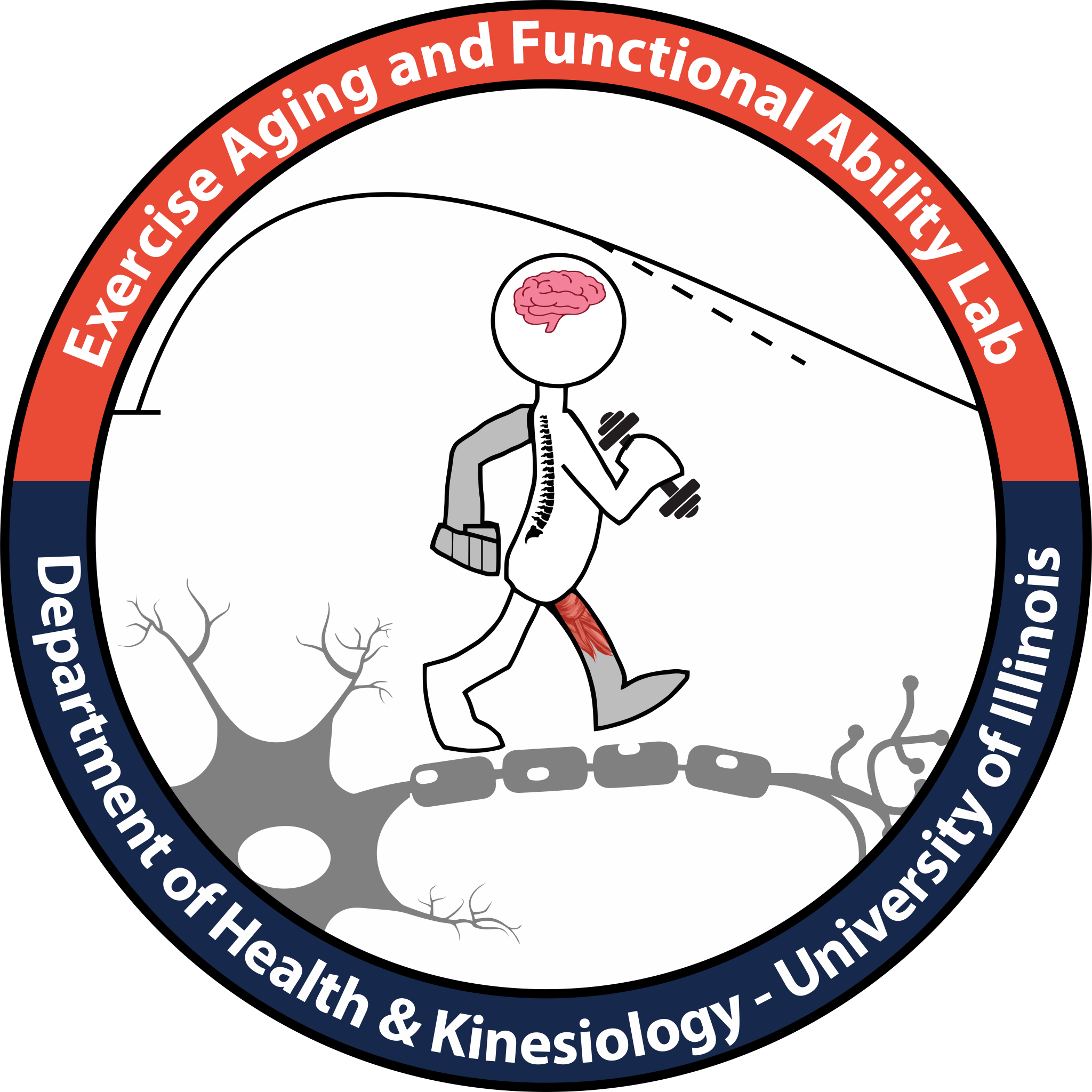 Exercise Aging and Functional Ability Lab logo