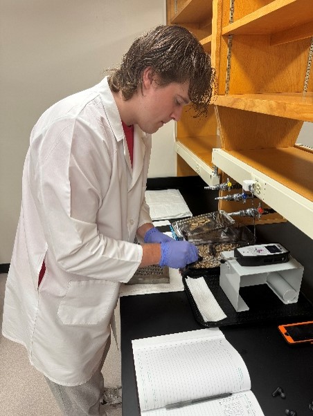 Student writing on a piece of paper in the lab