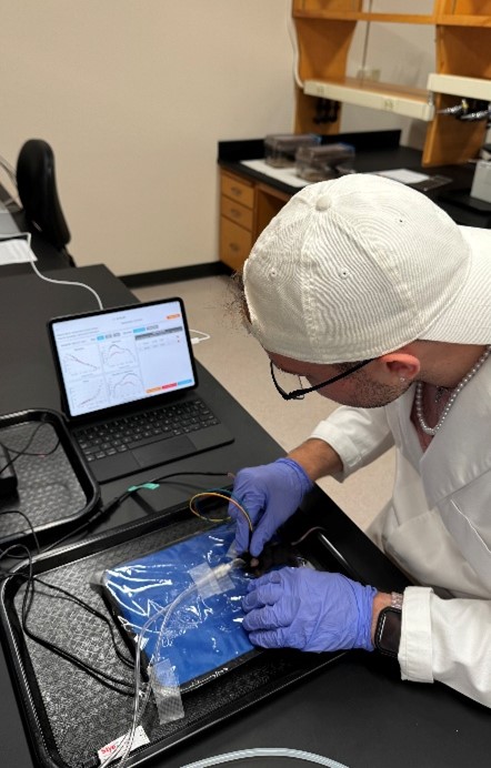 Student working in the lab