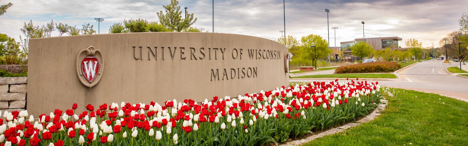 UW Madison WI sign with tulips in the foreground
