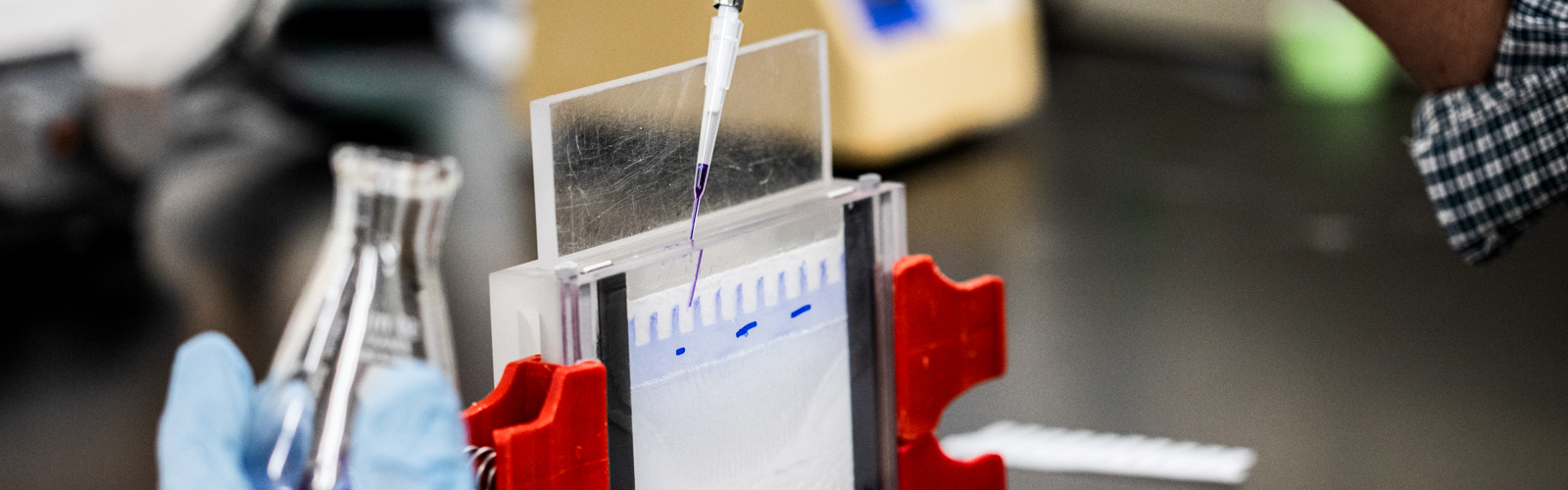 hands working in a lab