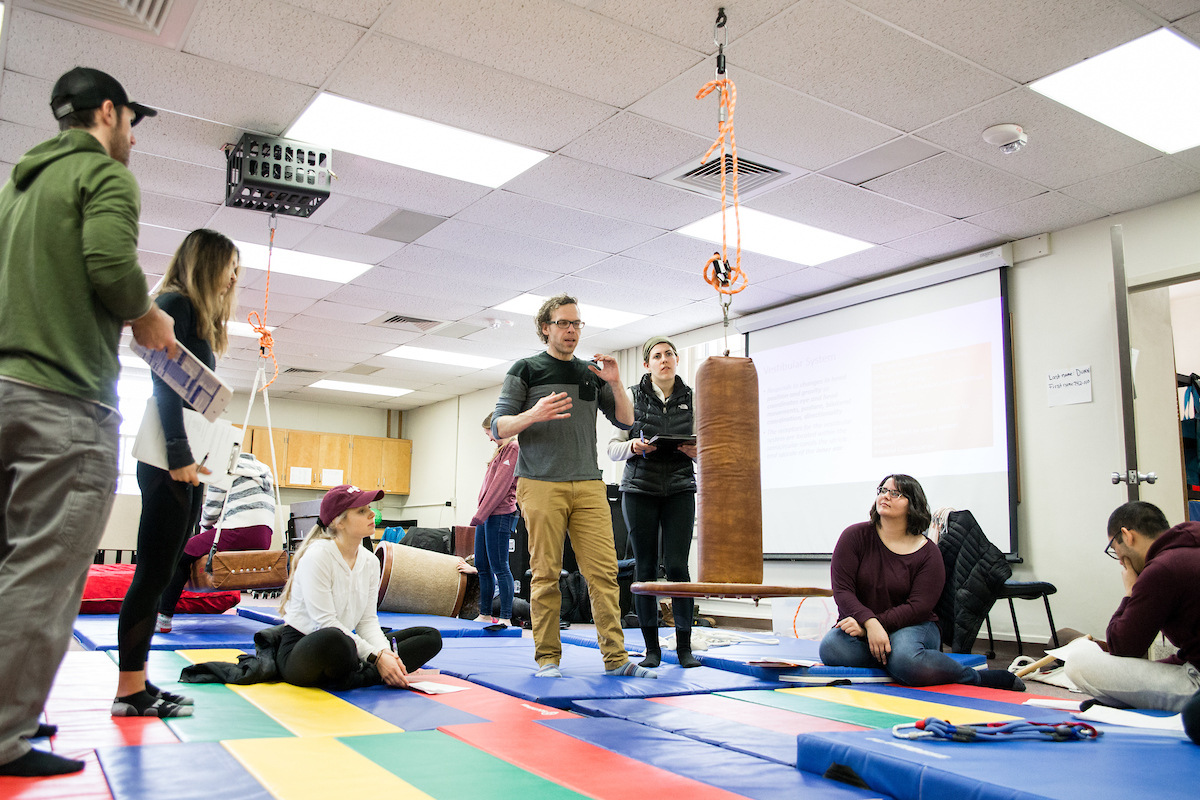 Occupational Therapy
